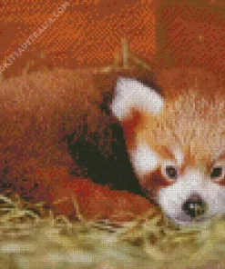 Red Panda Diamond Painting