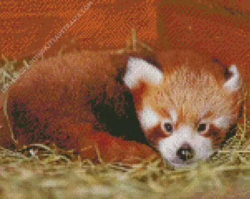 Red Panda Diamond Painting