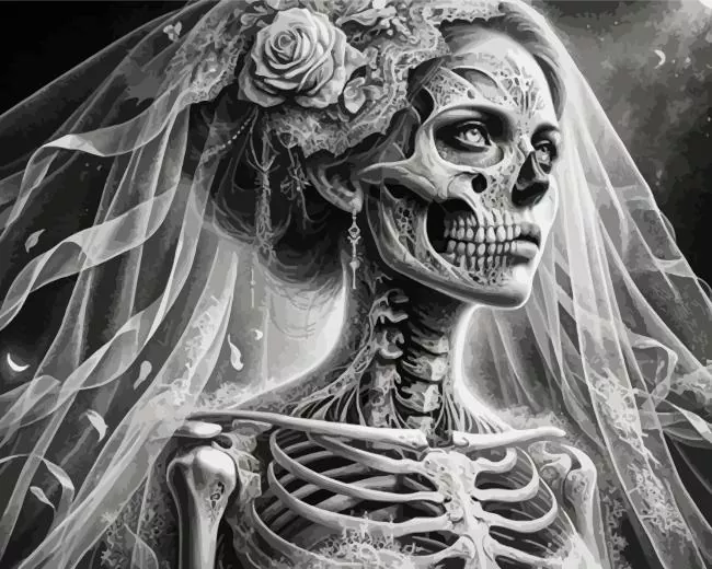skull bride Diamond With Numbers Skull Bride Diamond Painting