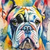 Splash French Bulldog Diamond Painting