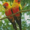 Sun Conure Birds Diamond Painting