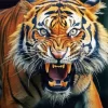 Tiger Roaring Diamond Painting