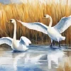 Tundra Swan Birds Diamond Painting