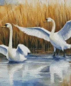 Tundra Swan Birds Diamond Painting