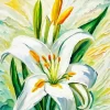 White Easter Lily Art Diamond Painting