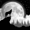Wolf In The Moon Diamond Painting