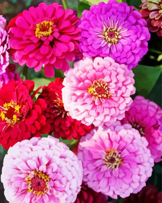 zinnia flowers Diamond Paints Zinnia Flowers Diamond Painting