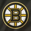 Boston Bruins Hockey Logo Diamond Painting