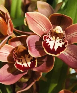 Brown Flowers Diamond Painting