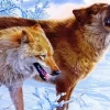 Brown Wolves In Snow Diamond Painting