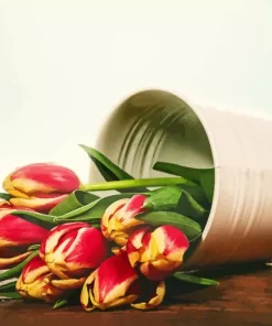 Tulips Bucket Diamond Painting