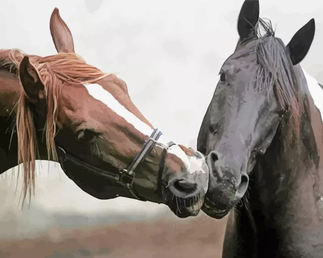 brown and black horses Diamond With Numbers Brown And Black Horses Diamond Painting