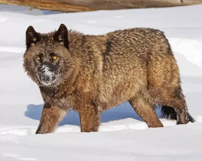brown and black wolf in snow Diamond With Numbers Brown And Black Wolf In Snow Diamond Painting