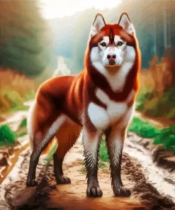 Brown And White Husky Diamond Painting