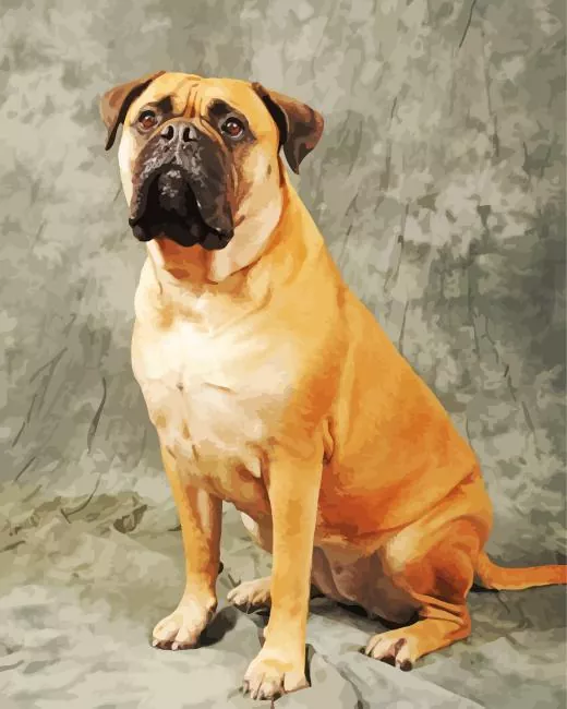 brown bull mastiff Diamond By Numbers Brown Bull Mastiff Diamond Painting