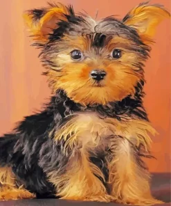 Brown Morkie Dog Diamond Painting