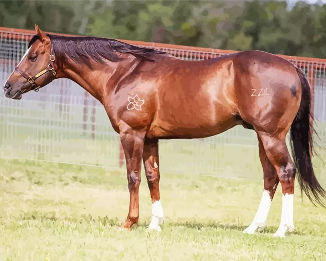 brown stallion horse Diamond Paintings Brown Stallion Horse Diamond Painting