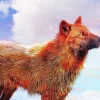 Brown Wolf Art Diamond Painting