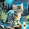 Fluffy Tabby Kitten At Night Diamond Painting
