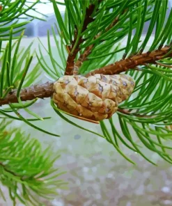 Jack Pine Plant Diamond Painting