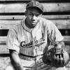 Josh Gibson Diamond Painting