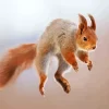 Jumping Squirrel Diamond Painting