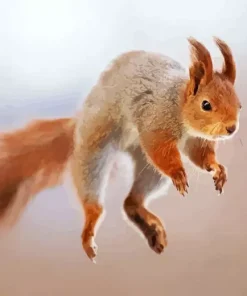 Jumping Squirrel Diamond Painting