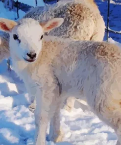 Lamb In Snow Diamond Painting