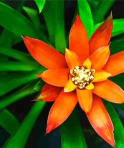 Orange Bromeliad Diamond Painting
