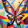 Colorful Abstract Butterfly Art Diamond Painting