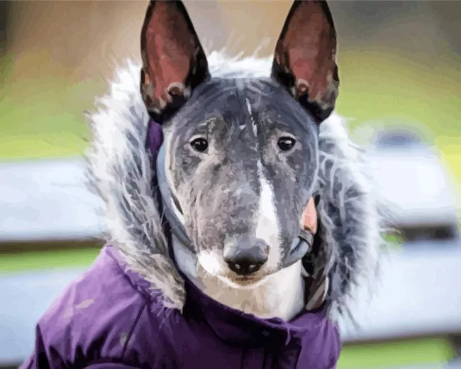 Gray bull terrier dog Diamond Dotz Gray Bull Terrier Dog Diamond Painting