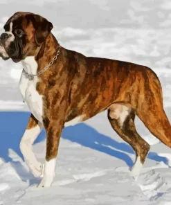 Brown Boxer Diamond Painting