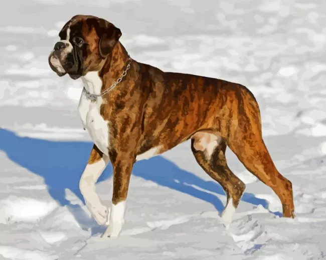 brown boxer dog Diamond By Numbers Brown Boxer Diamond Painting