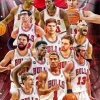 Chicago Bulls Players Diamond Painting