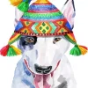 Cute Bull Terrier In Peruvian Hat Diamond Painting