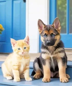 Kitten And German Shepherd Diamond Painting