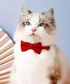 Kitten With Bowtie Diamond Painting