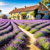 Lavender House Diamond Painting