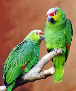 Lilacine Amazon Birds Diamond Painting