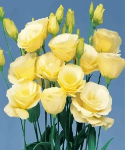 Lisianthus Flowers Diamond Painting