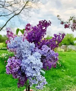 Purple Lilac Tree Diamond Painting