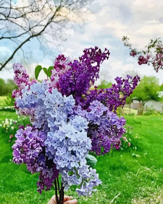 purple lilac tree Diamond Paintings Purple Lilac Tree Diamond Painting