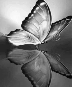 Black And White Butterfly Reflection Diamond Painting