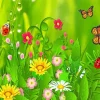 Butterflies And Ladybugs Diamond Painting