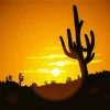Cactus At Sunrise Diamond Painting