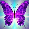 Purple Butterfly Diamond Painting