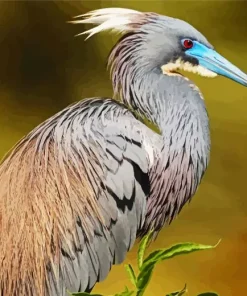 Tricolored Heron Diamond Painting