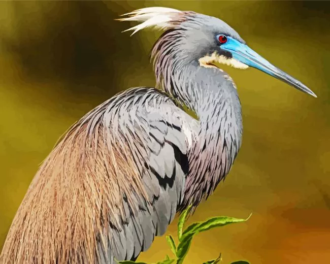 Tricolored heron Diamond Dotz Tricolored Heron Diamond Painting