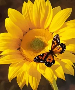 Butterfly On Sunflower Diamond Painting