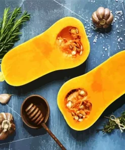 Butternut Squash Diamond Painting